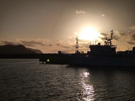 大雨後のアジング